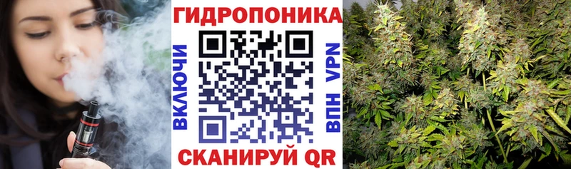 Сколько стоит Козьмодемьянск ОМГ ОМГ ссылка  Мефедрон  Каннабис  Cocaine  Альфа ПВП 