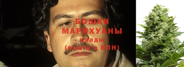 амф Аркадак