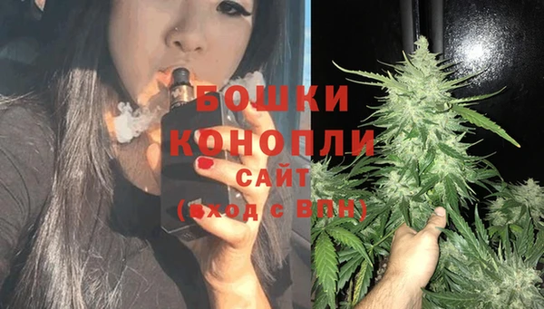 амф Аркадак