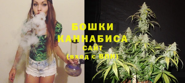 амф Аркадак